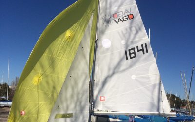 Habilitación a LASER VAGO