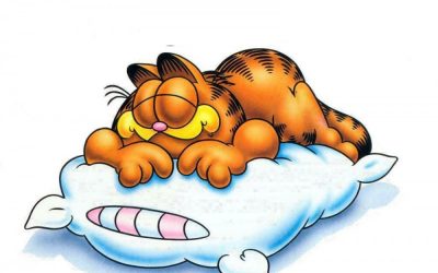 ¡¡Estrenamos almohadas en Boiro!!
