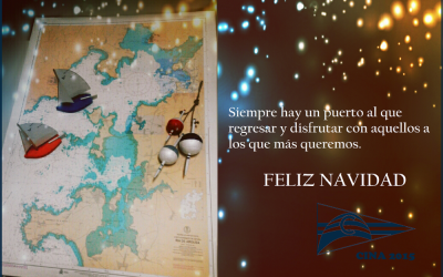 Felicitación Navideña CINA