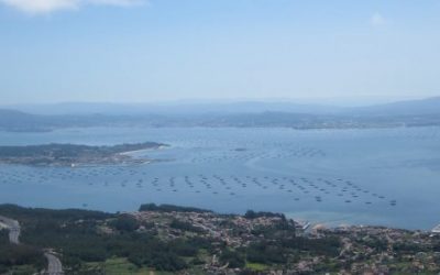 Fiestas del 50 aniversario del CINA en Galicia
