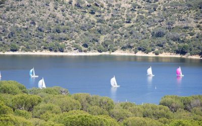 Curso de Spinnaker