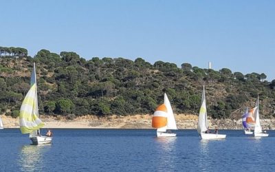 XXVIII Trofeo Grana y Oro