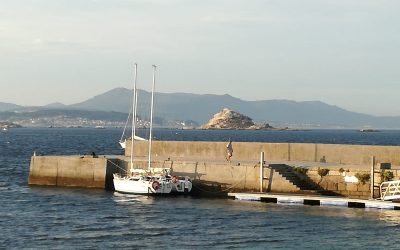 Apertura cursos crucero III 2020