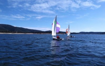 XXXI Regata Grana y Oro 2021