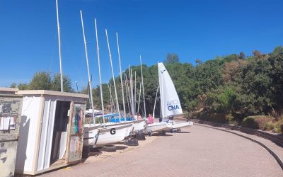 Desmontaje y colofón cinero, Atazar 2025